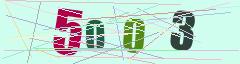 CAPTCHA validation image