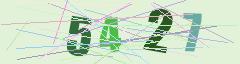 CAPTCHA validation image