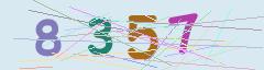 CAPTCHA validation image