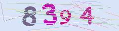 CAPTCHA validation image