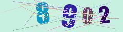 CAPTCHA validation image