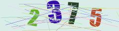 CAPTCHA validation image