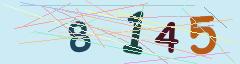 CAPTCHA validation image