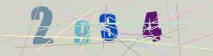 CAPTCHA validation image