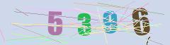 CAPTCHA validation image