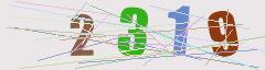 CAPTCHA validation image