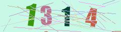 CAPTCHA validation image