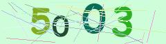 CAPTCHA validation image