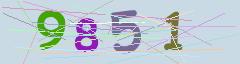 CAPTCHA validation image