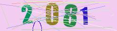 CAPTCHA validation image