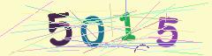 CAPTCHA validation image