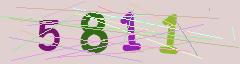 CAPTCHA validation image