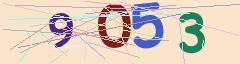 CAPTCHA validation image