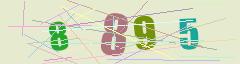 CAPTCHA validation image