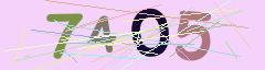 CAPTCHA validation image