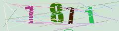 CAPTCHA validation image