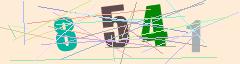 CAPTCHA validation image