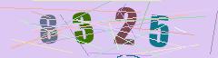 CAPTCHA validation image