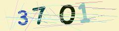 CAPTCHA validation image