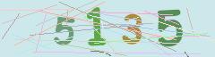 CAPTCHA validation image