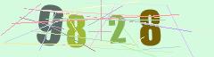 CAPTCHA validation image