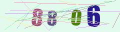 CAPTCHA validation image