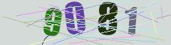 CAPTCHA validation image