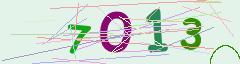 CAPTCHA validation image