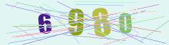 CAPTCHA validation image