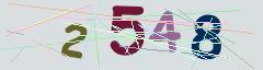 CAPTCHA validation image