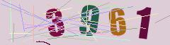 CAPTCHA validation image