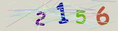 CAPTCHA validation image