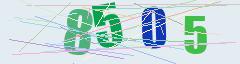 CAPTCHA validation image