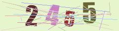 CAPTCHA validation image