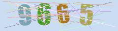 CAPTCHA validation image