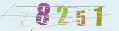 CAPTCHA validation image