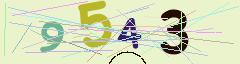 CAPTCHA validation image