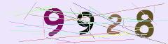 CAPTCHA validation image