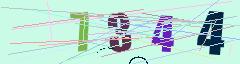CAPTCHA validation image