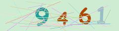 CAPTCHA validation image