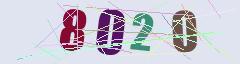 CAPTCHA validation image