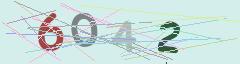 CAPTCHA validation image