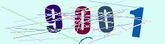CAPTCHA validation image