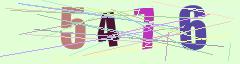 CAPTCHA validation image