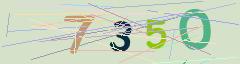 CAPTCHA validation image