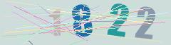 CAPTCHA validation image