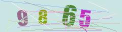 CAPTCHA validation image