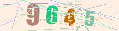 CAPTCHA validation image