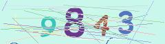 CAPTCHA validation image