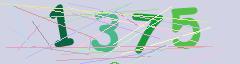 CAPTCHA validation image